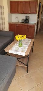 Fotografie z fotogalerie ubytování Apartamenty Fala v destinaci Rowy
