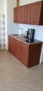 Kuchyň nebo kuchyňský kout v ubytování Apartamenty Fala