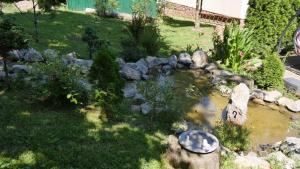 un jardín con un estanque y rocas en un patio en Planinska kuća "Zvuk Tišine" - Fruška gora, en Beočin
