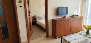 TV a/nebo společenská místnost v ubytování Apartamenty Fala