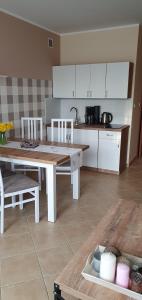 Kuchyň nebo kuchyňský kout v ubytování Apartamenty Fala