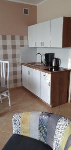Kuchyň nebo kuchyňský kout v ubytování Apartamenty Fala