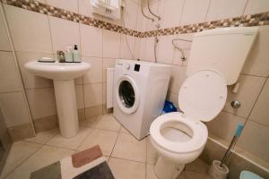 La salle de bains est pourvue de toilettes et d'un lave-linge. dans l'établissement Apartment LIPA, à Novi Sad