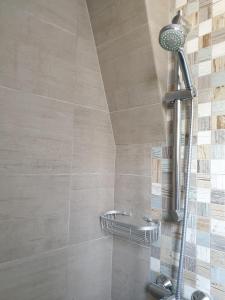 La salle de bains est pourvue d'une douche avec un pommeau de douche. dans l'établissement le castor, à Deauville