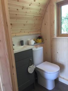 BoncathGarden Cottage Glamping Pod的带马桶和水槽的小浴室 更多37张照片