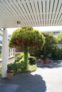 Jízda na kole v ubytování Michels Hanseatic Hotel Norderney nebo okolí