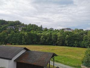 Blick auf ein Feld mit Bäumen und Häusern in der Unterkunft Gruppenferienhaus Zum Rabenhorst für bis zu 16 Personen am Waldrand gelegen in Hallenberg