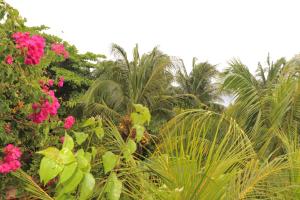 Giardino di Hotel Posada Seremein ,West Bay ,Roatan