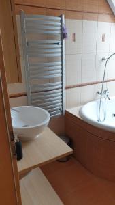 Phòng tắm tại Apartmán Mikulov