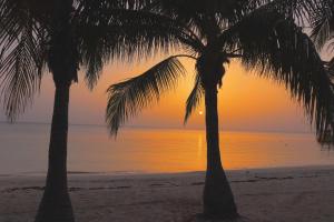 two palm trees on the beach at sunset at Hotel Posada Seremein Roatan in West Bay
