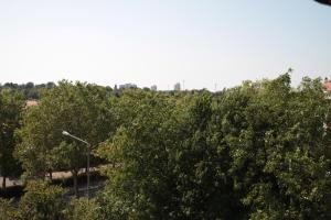 une rangée d'arbres avec un lampadaire derrière eux dans l'établissement 1-Zimmer Business Appartement, à Worms