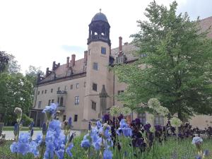 ルターシュタット・ヴィッテンベルクにあるFewo Rosenblüte am Stadtparkの青い花の建物の前に立つ人々