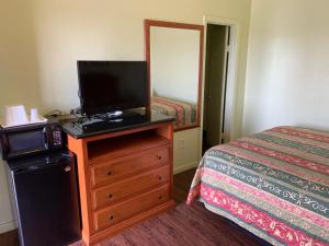 a bedroom with a television on a dresser next to a bed at Economy inn in Bay City