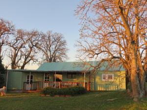 a house with a green roof and a tree at Estancia San Pedro in Colonia del Sacramento