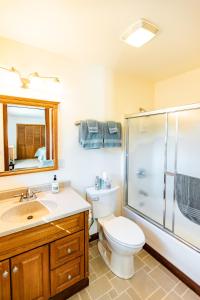 a bathroom with a toilet sink and a shower at Inn at Tern Lake in Moose Pass