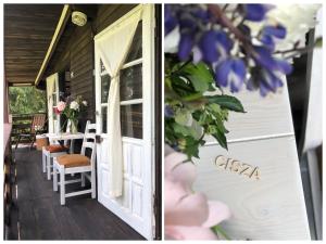 Gallery image of apartamenty lajkonik in Dąbrówno