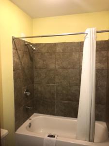 een badkamer met een bad en een douche met een douchegordijn bij Linder Motor Lodge in Homer