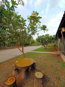 un banco de troncos de árbol sentado junto a un árbol en Pak Dee Resort, en Nakhon Ratchasima