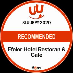 Certifikát, hodnocení, plakát nebo jiný dokument vystavený v ubytování Efeler Hotel