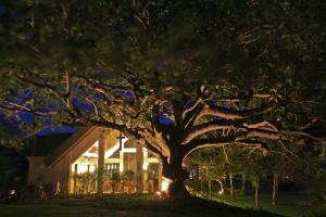 Zahrada ubytování Two Seasons Coron Island Resort