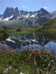a view of a mountain lake with pink flowers at Haus Arnold Schranz in Sankt Anton am Arlberg