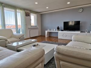 un soggiorno con divano e TV di Atina Lux Hostel a Leskovac