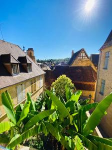 a view from the roof of a building with a tree at Sarlat.Catalina in Sarlat-la-Canéda