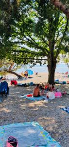 a group of people laying on the beach under a tree at Apartmani Bella Vista in Njivice