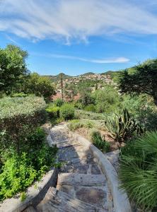 un camino de tierra con árboles y plantas en una colina en APPARTEMENTS DANS VILLA EN REZ DE JARDIN, en Hyères