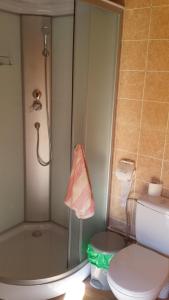 y baño con ducha, aseo y lavamanos. en Zemaite truoba en Milašaičiai