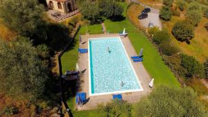 an overhead view of a large swimming pool with people in it at La Cianella in Scarlino
