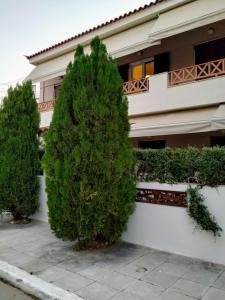 The building in which Az apartmant is located