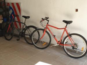 Jazda na bicykli v okolí ubytovania Family Apartment - w cenie 4 rowery, plaża, łódka wiosłowa, kajak, rower wodny
