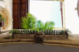 Zahrada ubytování B&B Palazzo Sambiasi