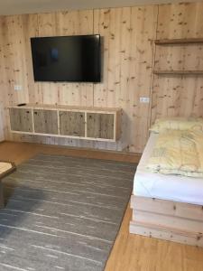 TV a/nebo společenská místnost v ubytování Haus Dengg