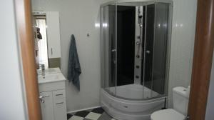 een badkamer met douche, toilet en wastafel bij Zacisze, domek na wsi blisko Trójmiasta in Wiślinka