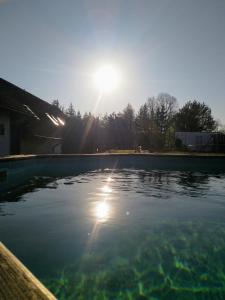 Bazén v ubytování Camping & Guest House Pliskovice nebo v jeho okolí