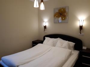 Postel nebo postele na pokoji v ubytování Transylvania Villa & Spa