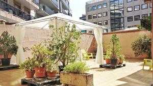 Ein Garten an der Unterkunft BizFlats Garden House