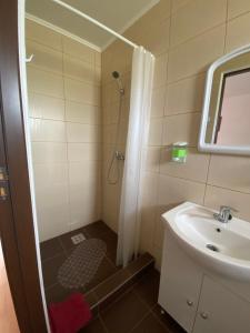 a bathroom with a shower and a sink at Casa Gabriela in Sovata