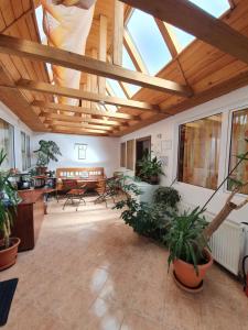 Habitación grande con macetas y techo de madera. en Casa Terezia, en Brasov