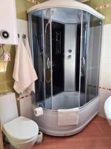 ペレスラヴリ・ザレスキーにあるMini Hotel Sputnik Pereslavl-Zalesskyのバスルーム(シャワー、トイレ、洗面台付)