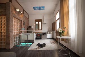 Kuchyň nebo kuchyňský kout v ubytování Apartamento de lujo en Gijòn