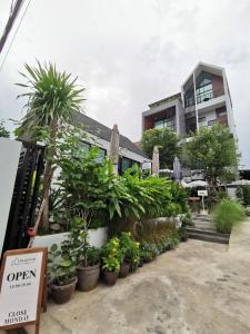 een rij potplanten voor een gebouw bij DAAD FAH home and cafe in Phetchaburi