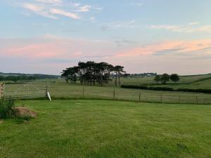 a field with a fence and a tree in the distance at Butterfly Cabin in Millom