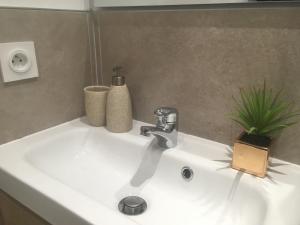lavabo con grifo y planta en Studio hyper centre, proche gare, entrée indépendante, en Valence