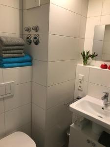 een badkamer met toilet en wastafel bij Ferienwohnungen Wolke in Regensburg