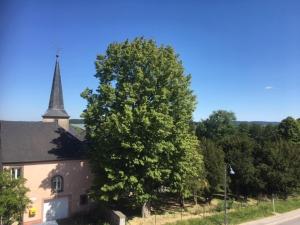 a large tree next to a church with a steeple at Green & Breakfast Le Luxembourg in Niederpallen