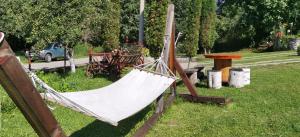 a hammock in the grass in a yard at Casă de vacanţă ,,La Vălucu" in Curtea de Argeş