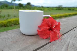 Fotografie z fotogalerie ubytování Le Cocotier v destinaci Ban Cho Lae